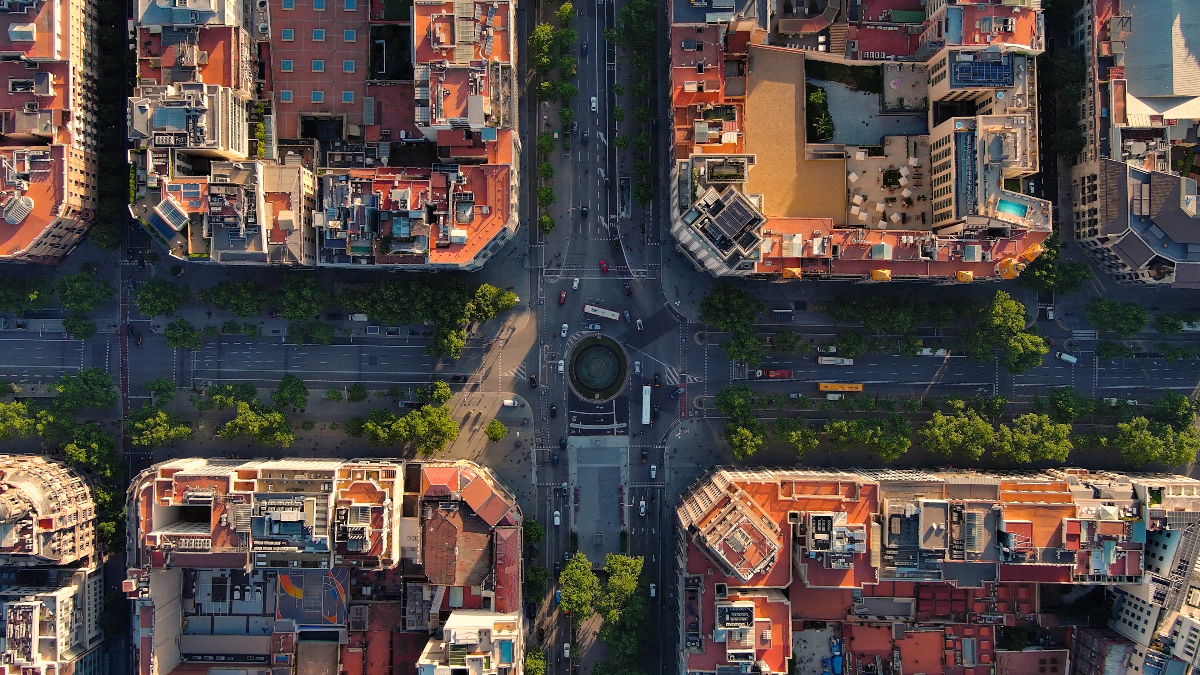 AI CoE or processes etc