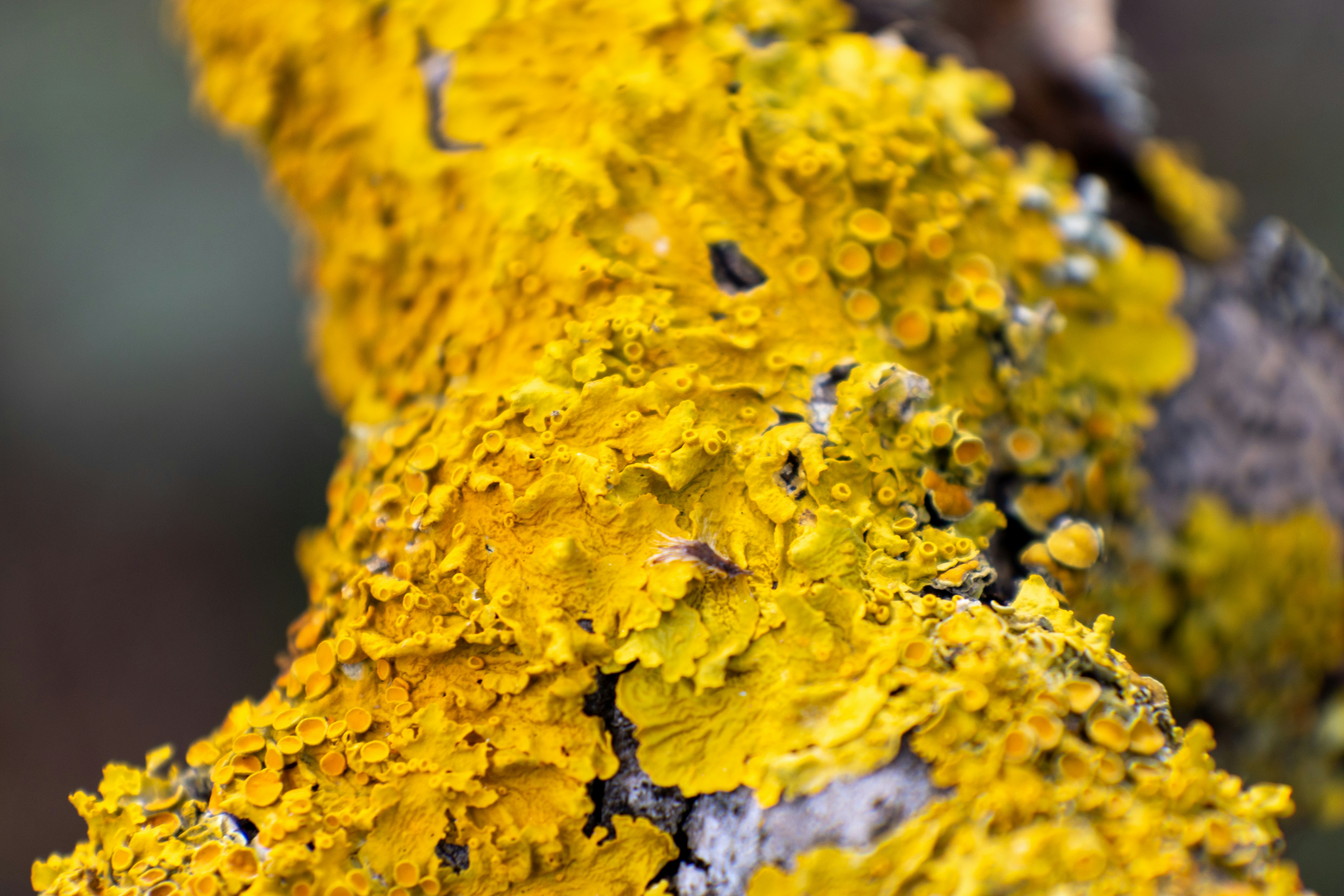 Cloud infra or software etc