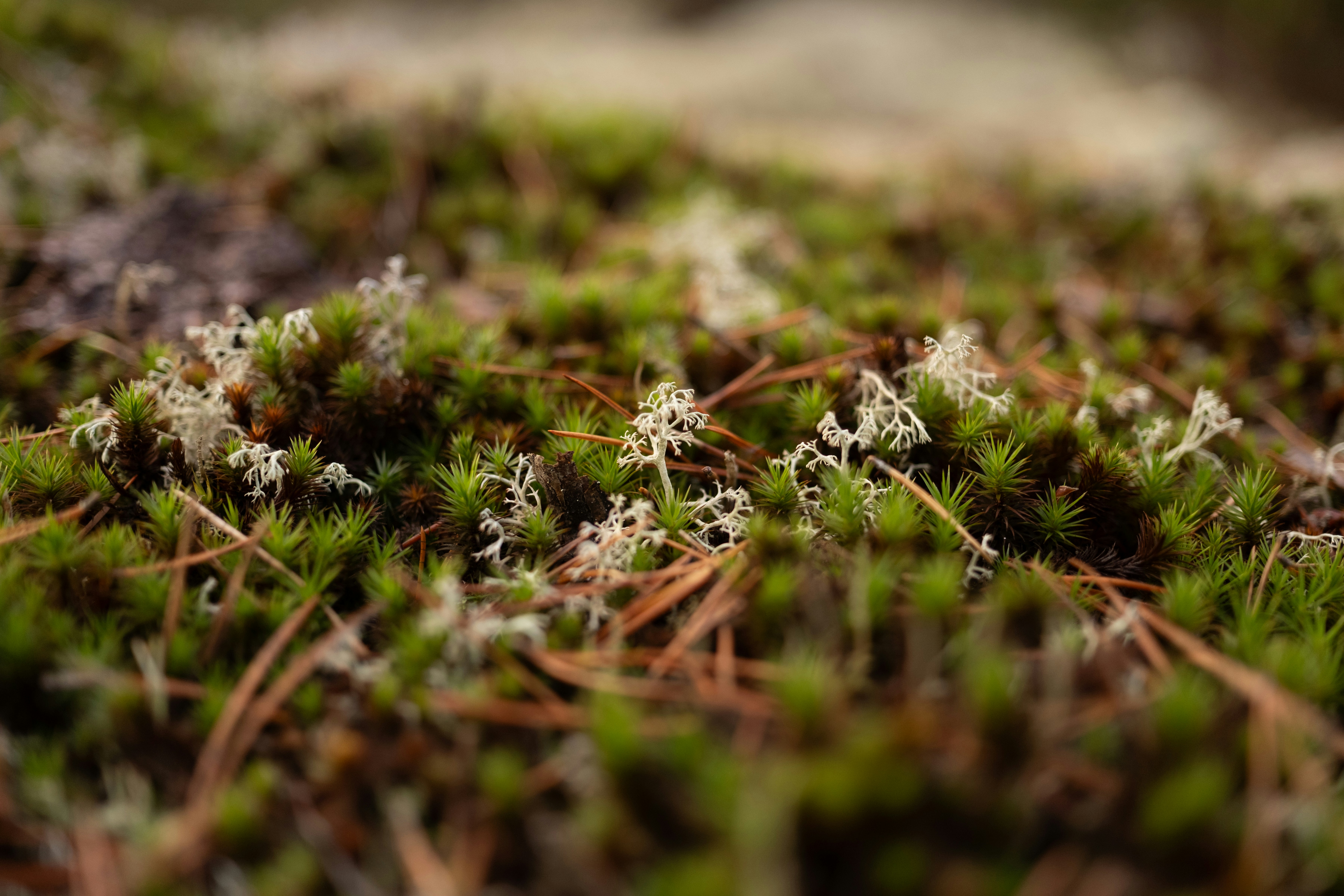 Development or change etc