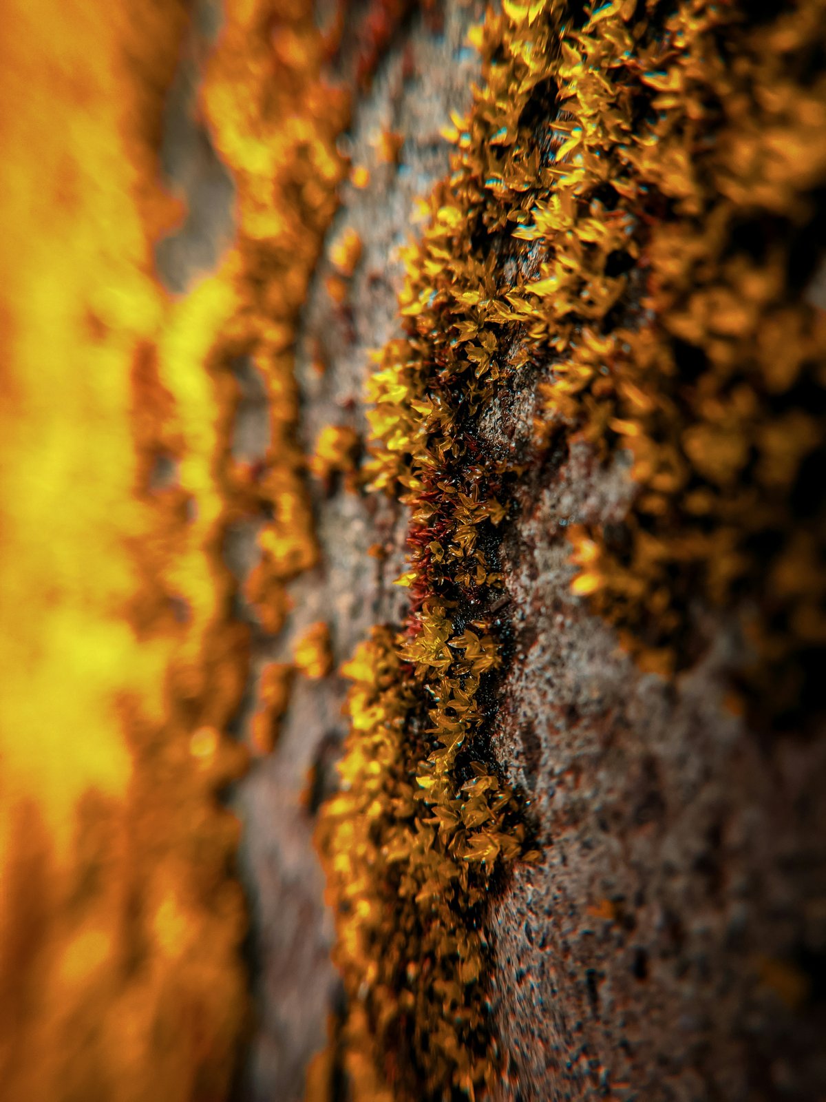 Miltä AI-avusteinen tuottavuus näyttää käytännössä?