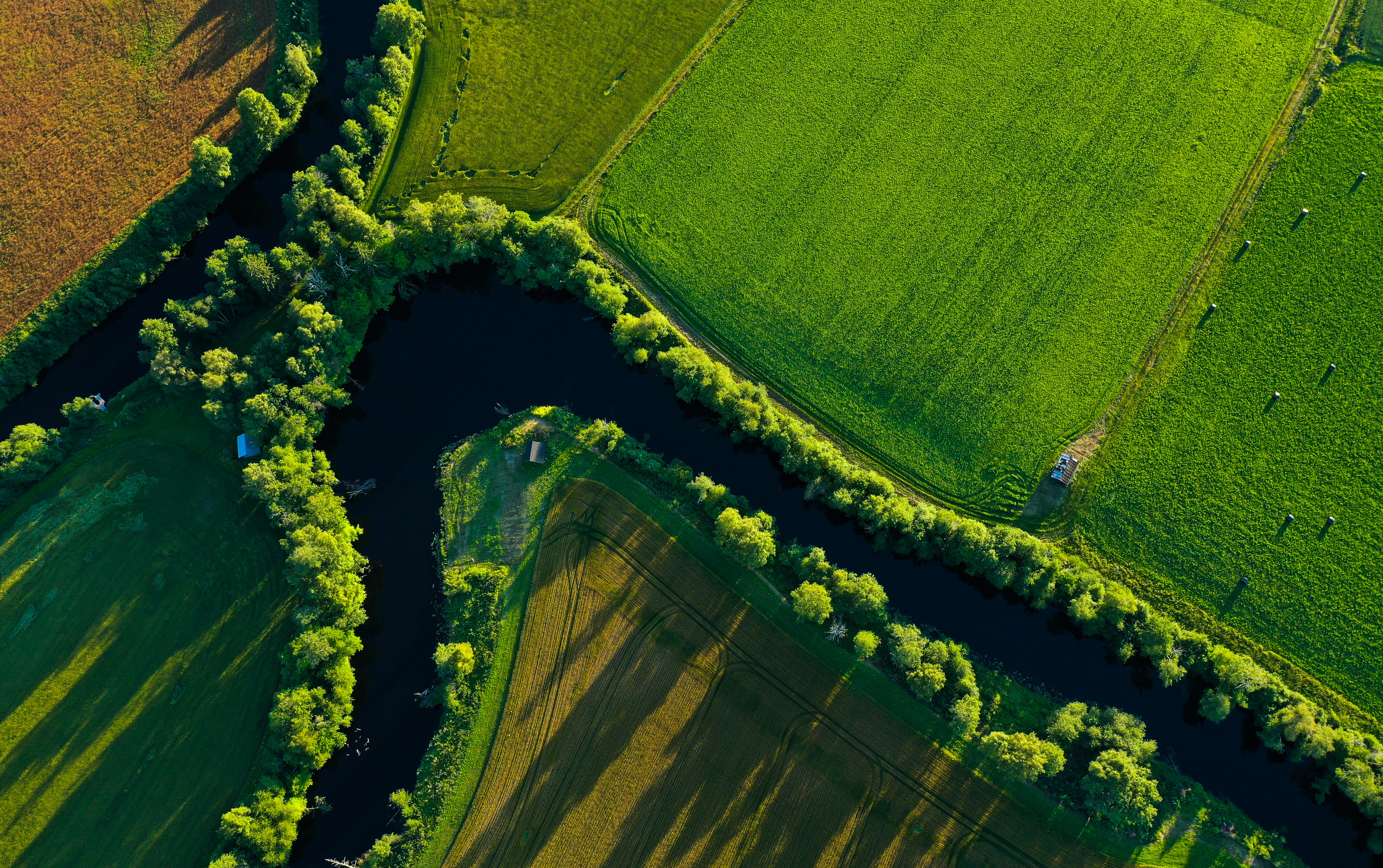 frans-leivo-QEJzR7GoHz8-unsplash