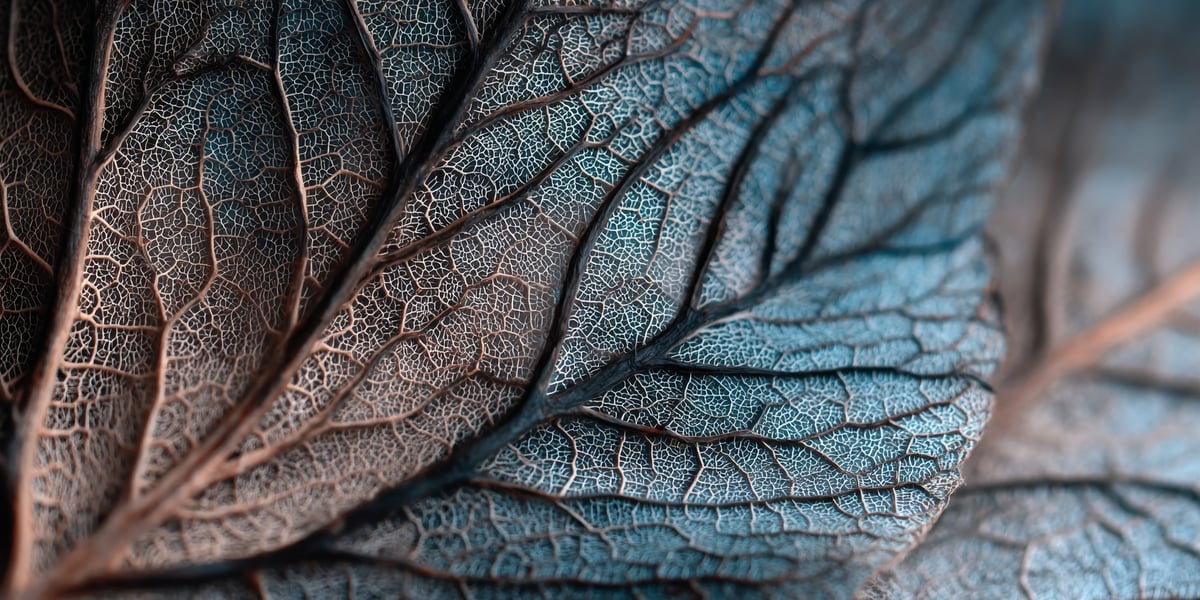 Norrin laajentuu yrityskaupalla Pohjoismaihin