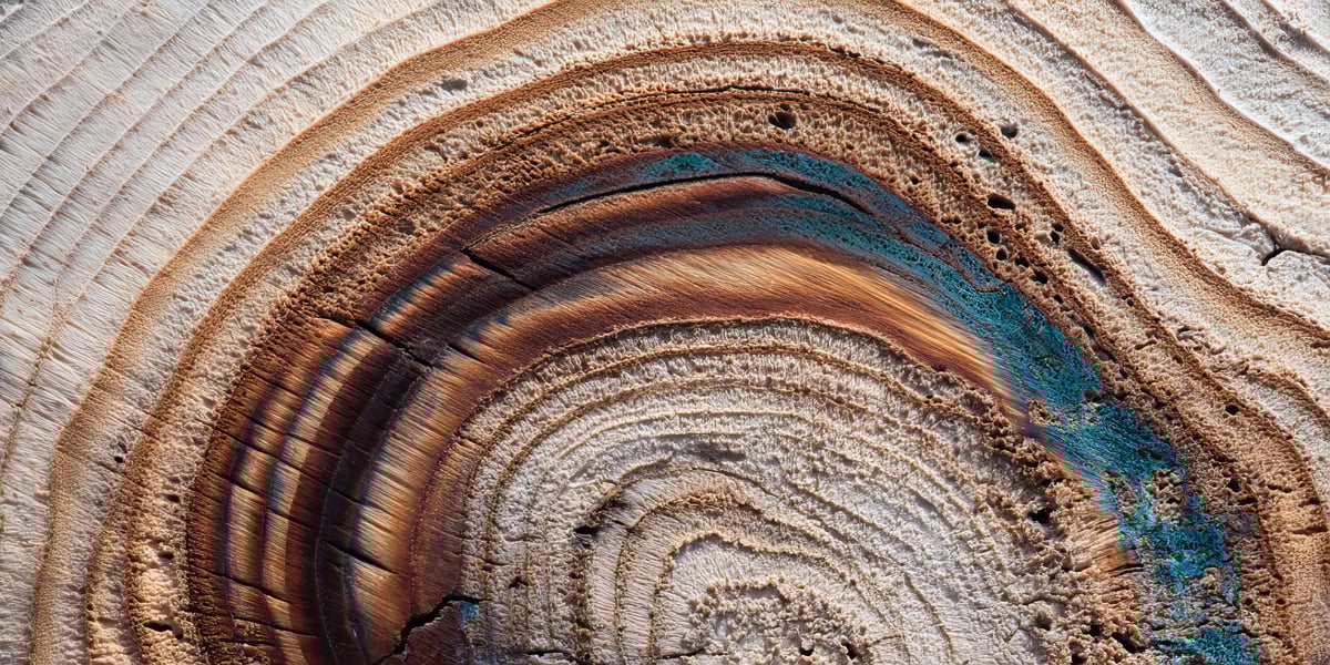 Moderni datatuote raamittaa tiedon käyttöä organisaatiossa