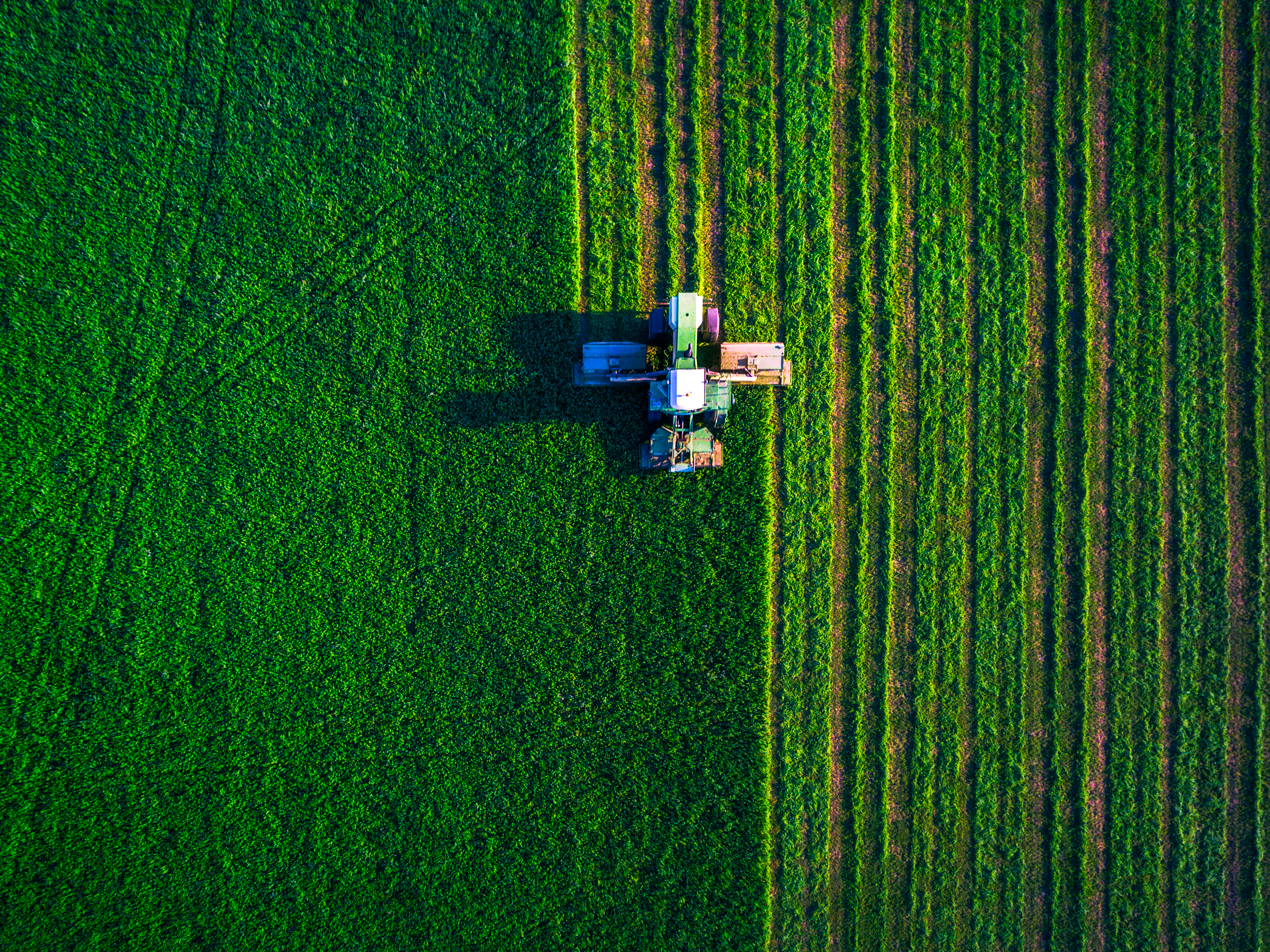 Our sustainability journey &ndash; Where are we and where are we headed?