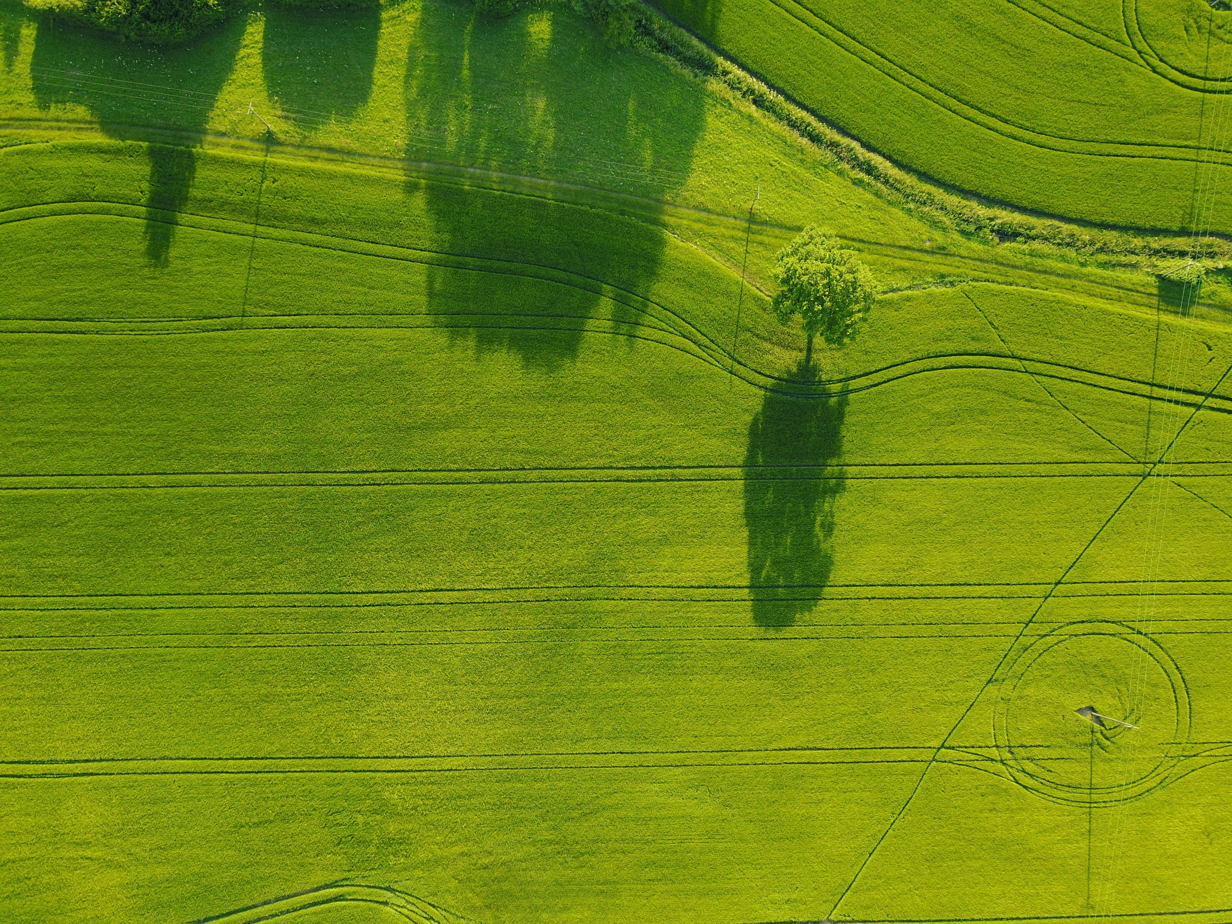 Towards a green future: How AI can save resources and energy in industrial settings