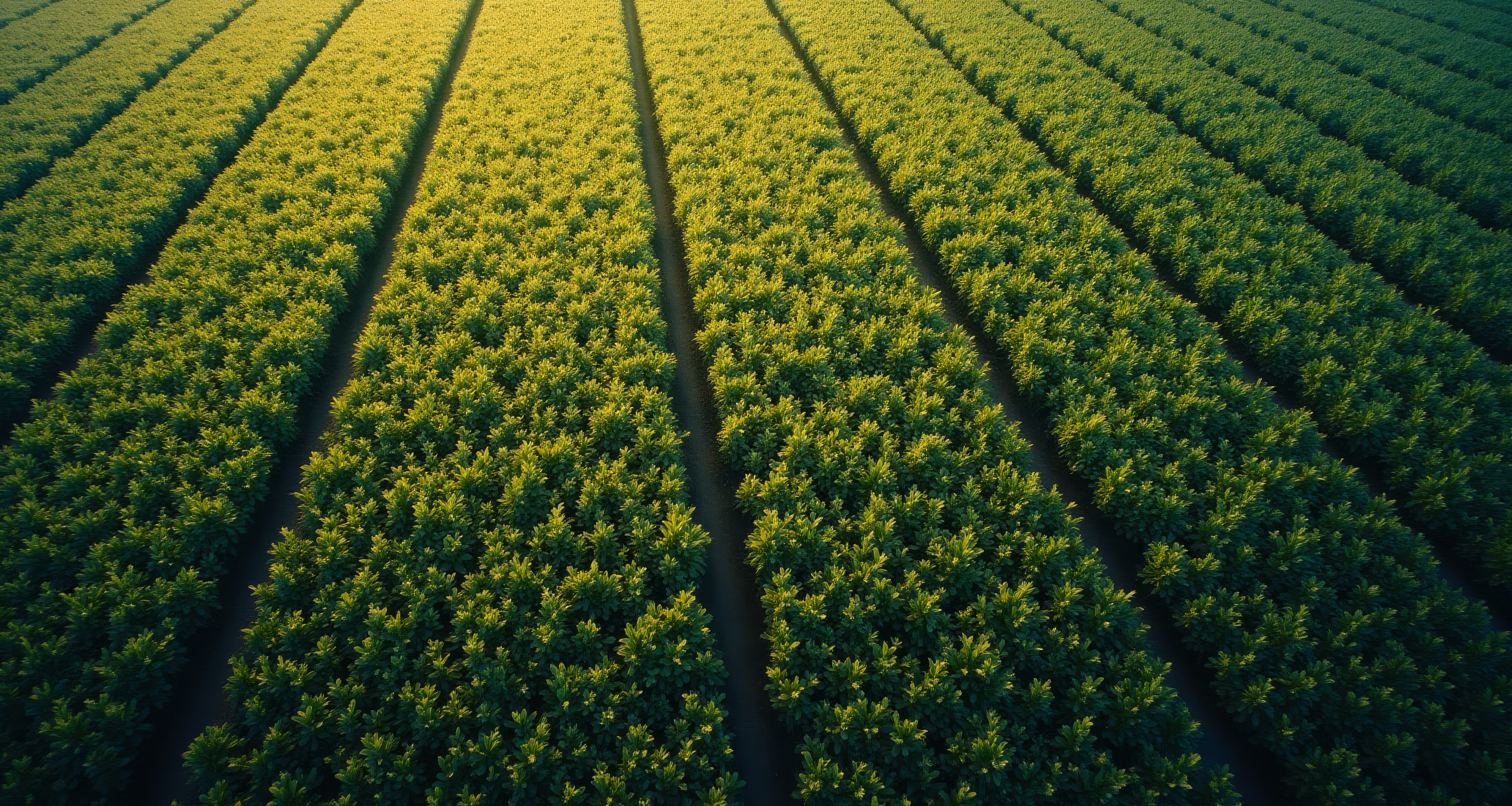 Our Sustainability Journey &ndash; Where Are We and Where Are We Headed?